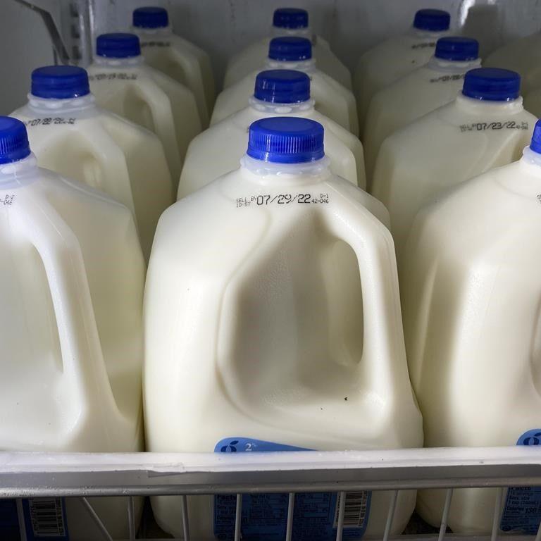 B.C. to increase local milk production with $25-million factory investment